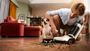 Les Meilleurs Aspirateurs pour Poils d'Animaux